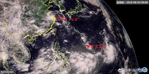 最新爆料台风,最新动态与影响预测