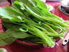 菠菜最新爆料视频,惊人内幕大公开！