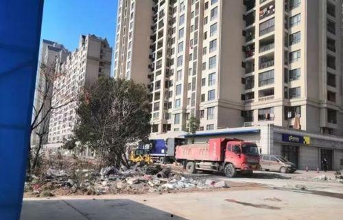 最新爆料黄梅,揭秘背后惊人真相